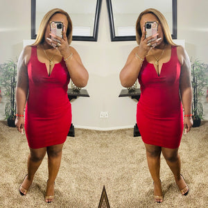 Roy Mini Dress (Ruby)