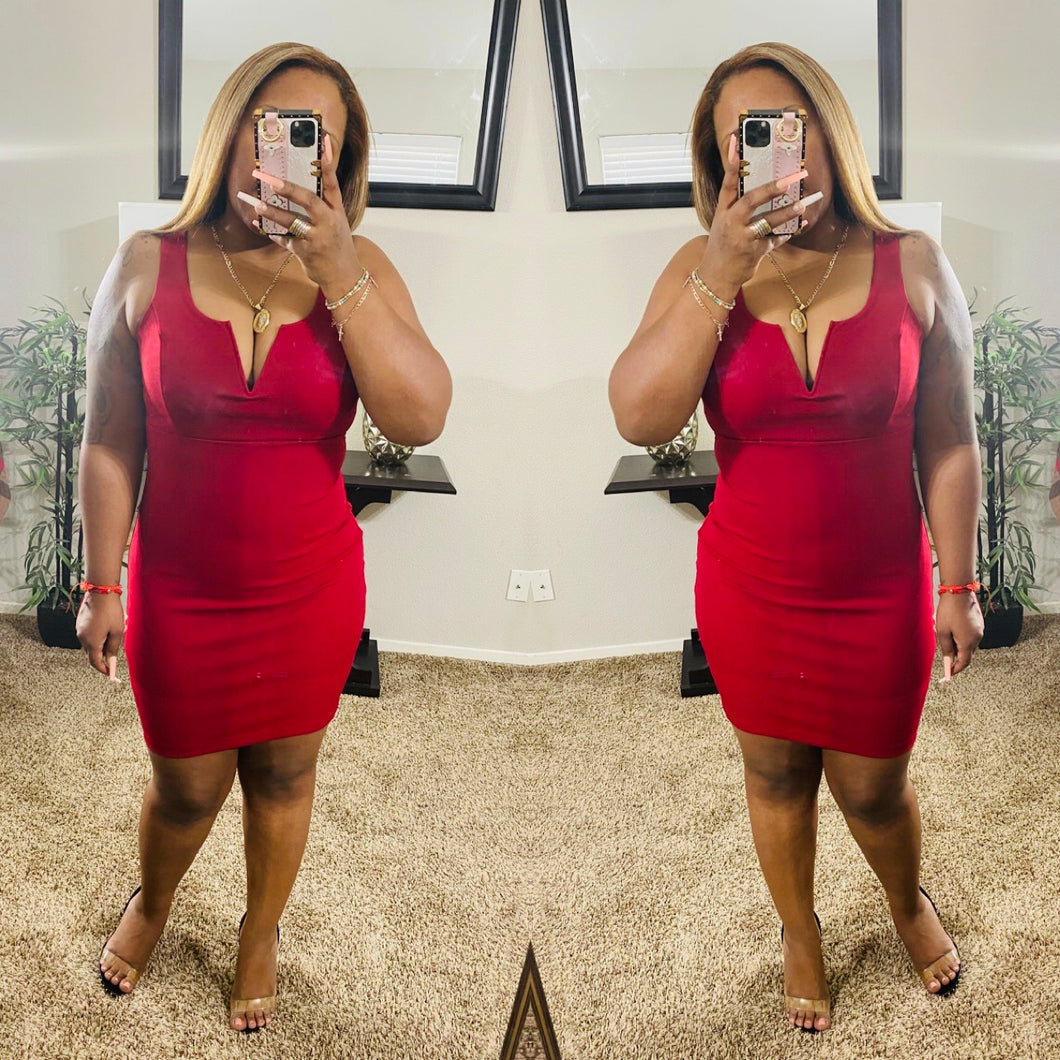 Roy Mini Dress (Ruby)